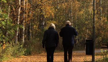 A couple walking in a serene Swedish park surrounded by autumn leaves and trees.
